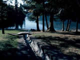 Cultus Lake Provincial Park - Delta Grove, Clear Creek campgrounds(Gibson Pass Resort Inc)