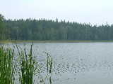 Bardolph Lake
