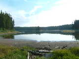 Deer Lake (Winfield)