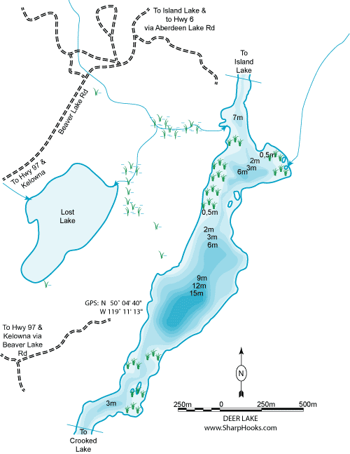 Map of Deer Lake (Winfield)