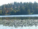 Deer Lake - Vancouver