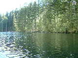 Elbow Lake