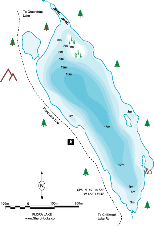 Map of Flora Lake