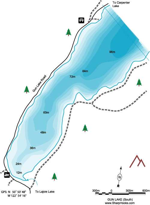 Map of Gun Lake - South