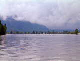 Hatzic Lake