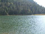 Morris Lake