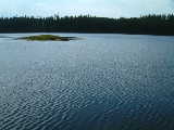 Nicklen Lake