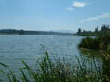 Otter Lake (Vernon) - North