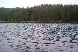 Sasamat Lake