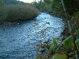 Vedder - Borden Creek