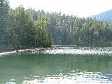 Weaver Lake