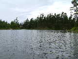 Wood Lake